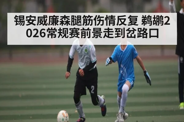 锡安威廉森腿筋伤情反复 鹈鹕2026常规赛前景走到岔路口